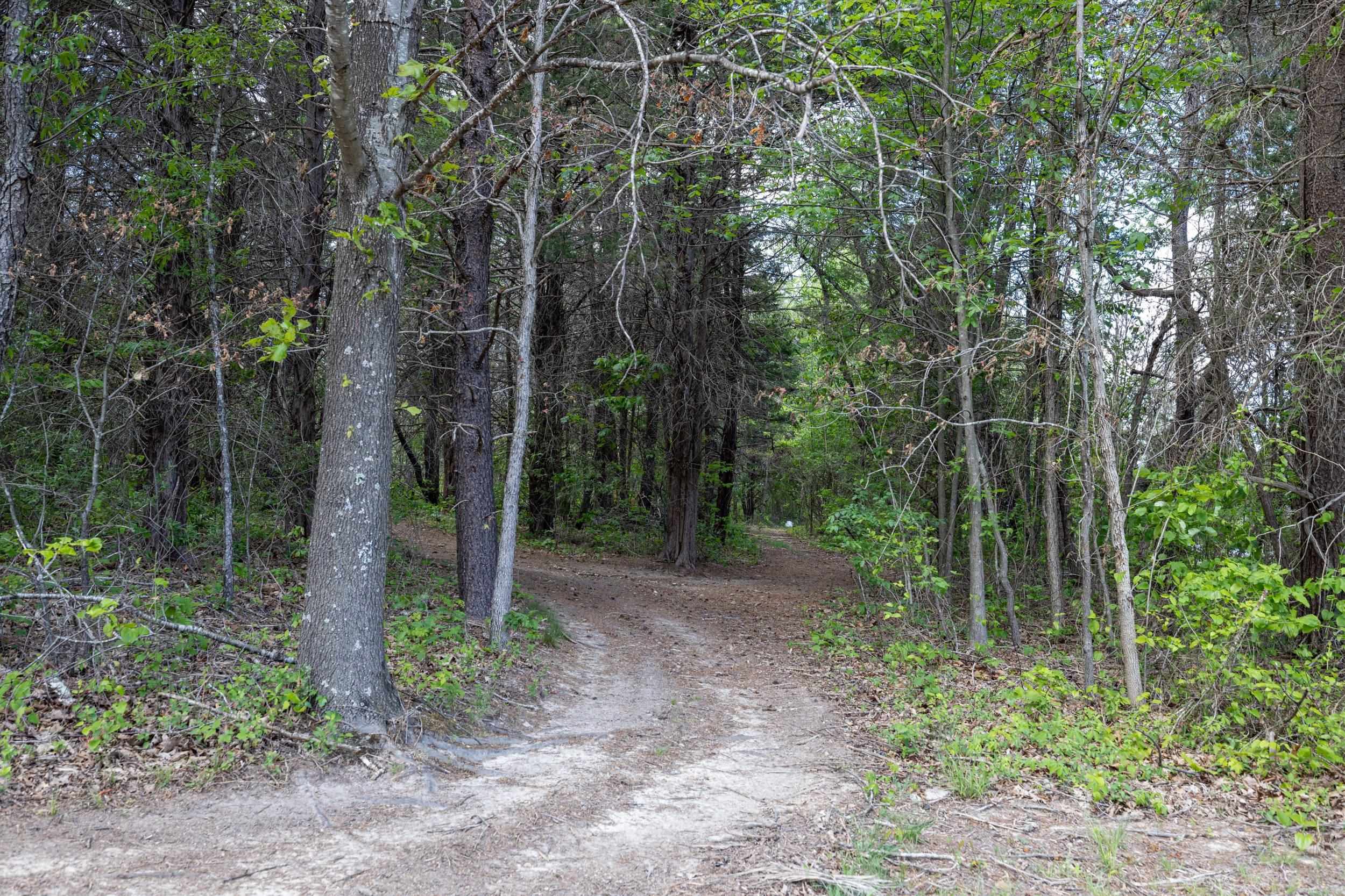 0 BOLIVER RD, FORT VALLEY, Virginia 22652, ,Land,0 BOLIVER RD,677110 MLS # 677110