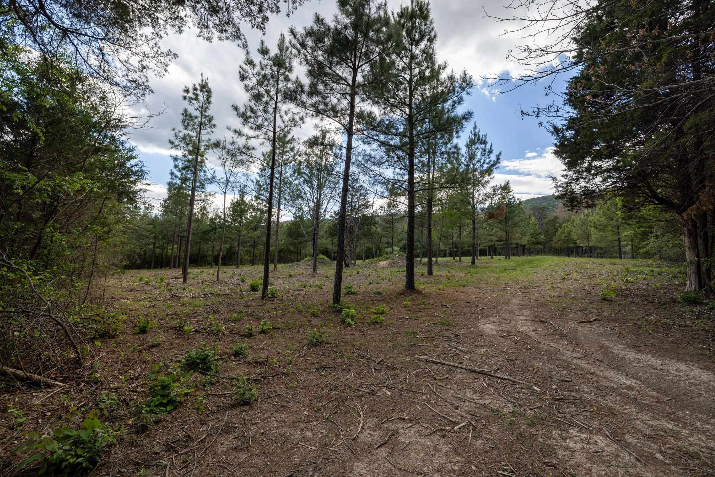 0 BOLIVER RD, FORT VALLEY, Virginia 22652, ,Land,0 BOLIVER RD,677110 MLS # 677110