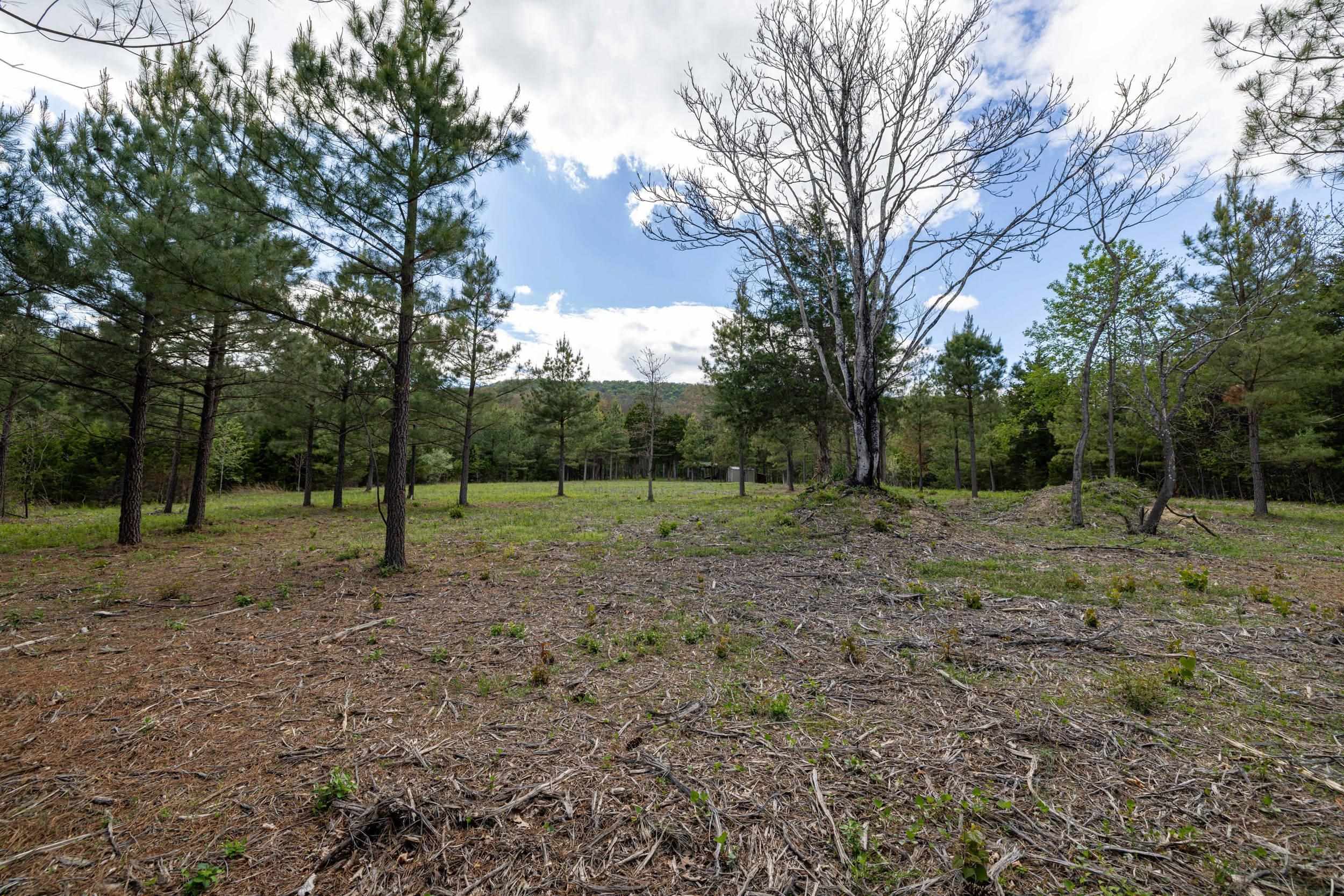 0 BOLIVER RD, FORT VALLEY, Virginia 22652, ,Land,0 BOLIVER RD,677110 MLS # 677110