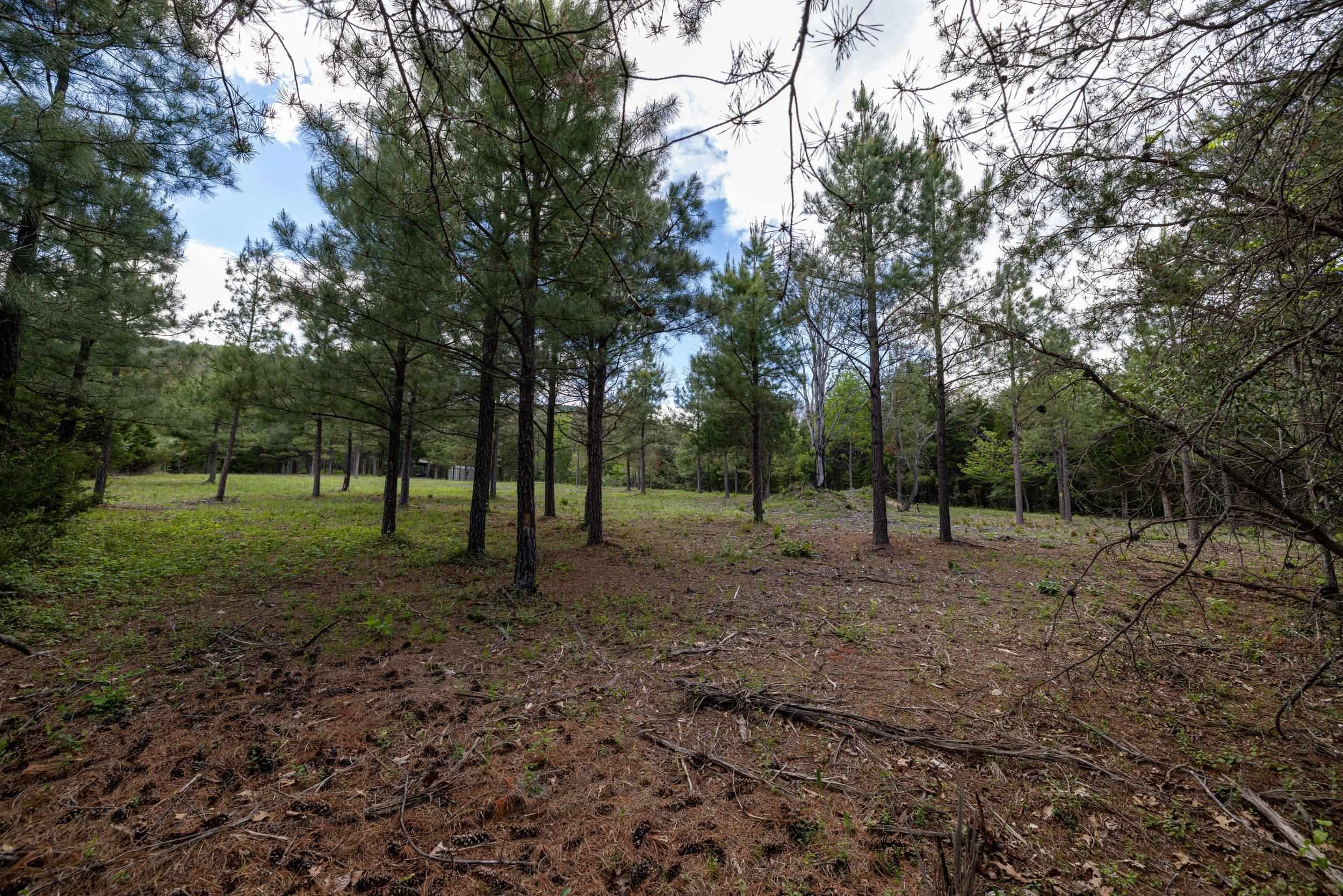 0 BOLIVER RD, FORT VALLEY, Virginia 22652, ,Land,0 BOLIVER RD,677110 MLS # 677110