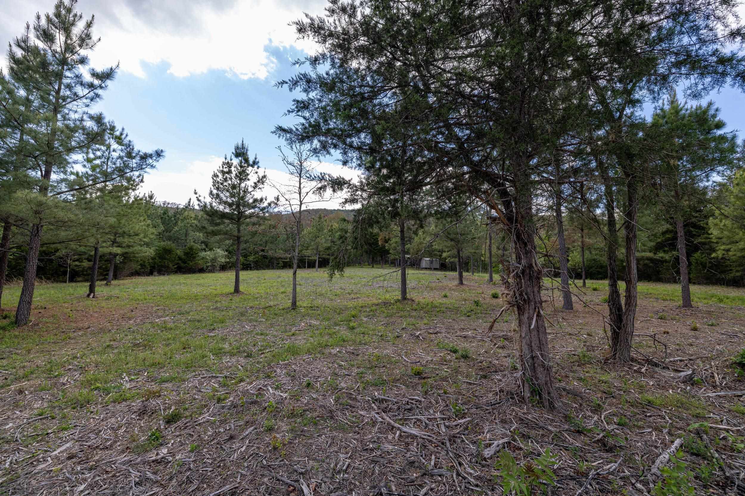 0 BOLIVER RD, FORT VALLEY, Virginia 22652, ,Land,0 BOLIVER RD,677110 MLS # 677110