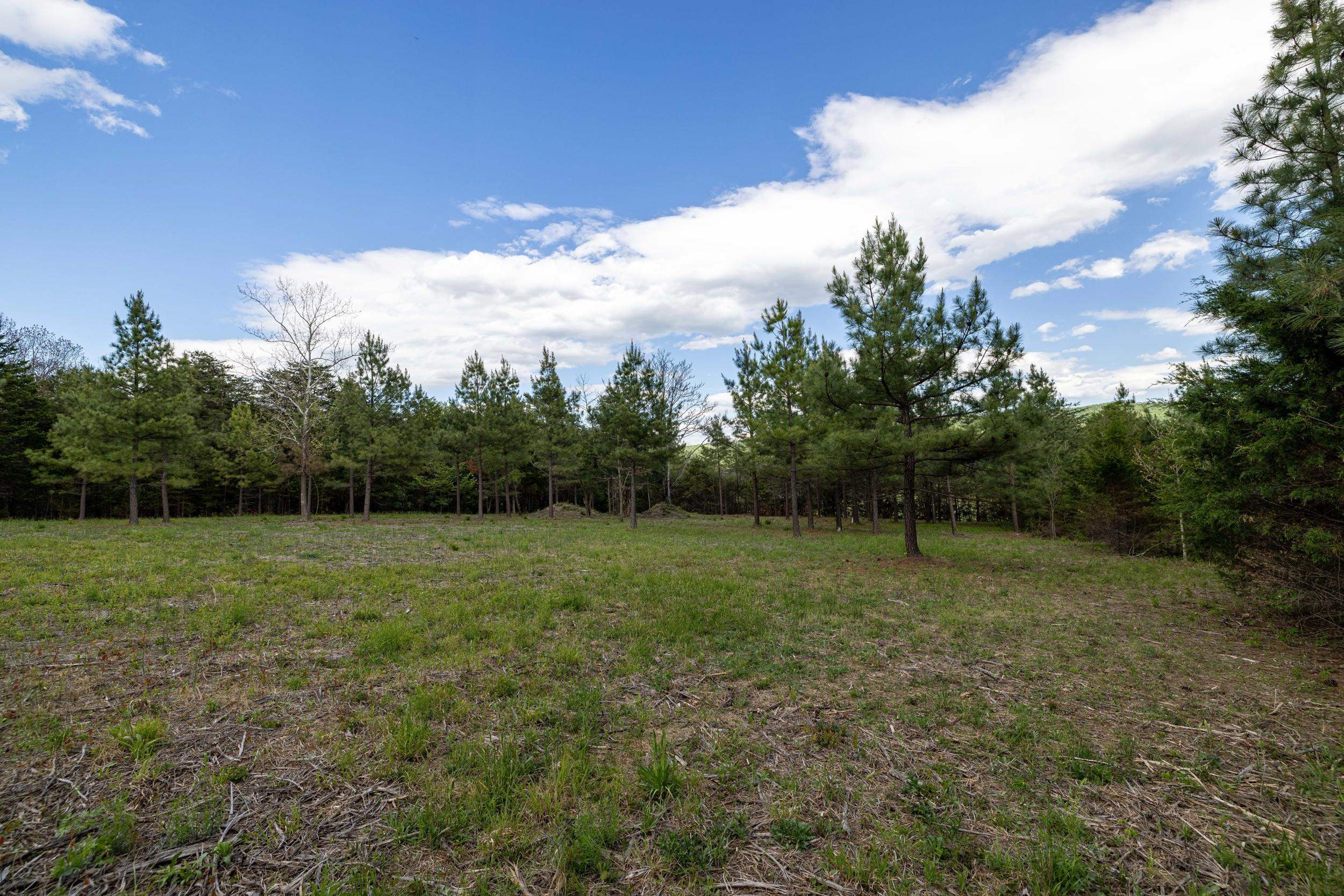0 BOLIVER RD, FORT VALLEY, Virginia 22652, ,Land,0 BOLIVER RD,677110 MLS # 677110