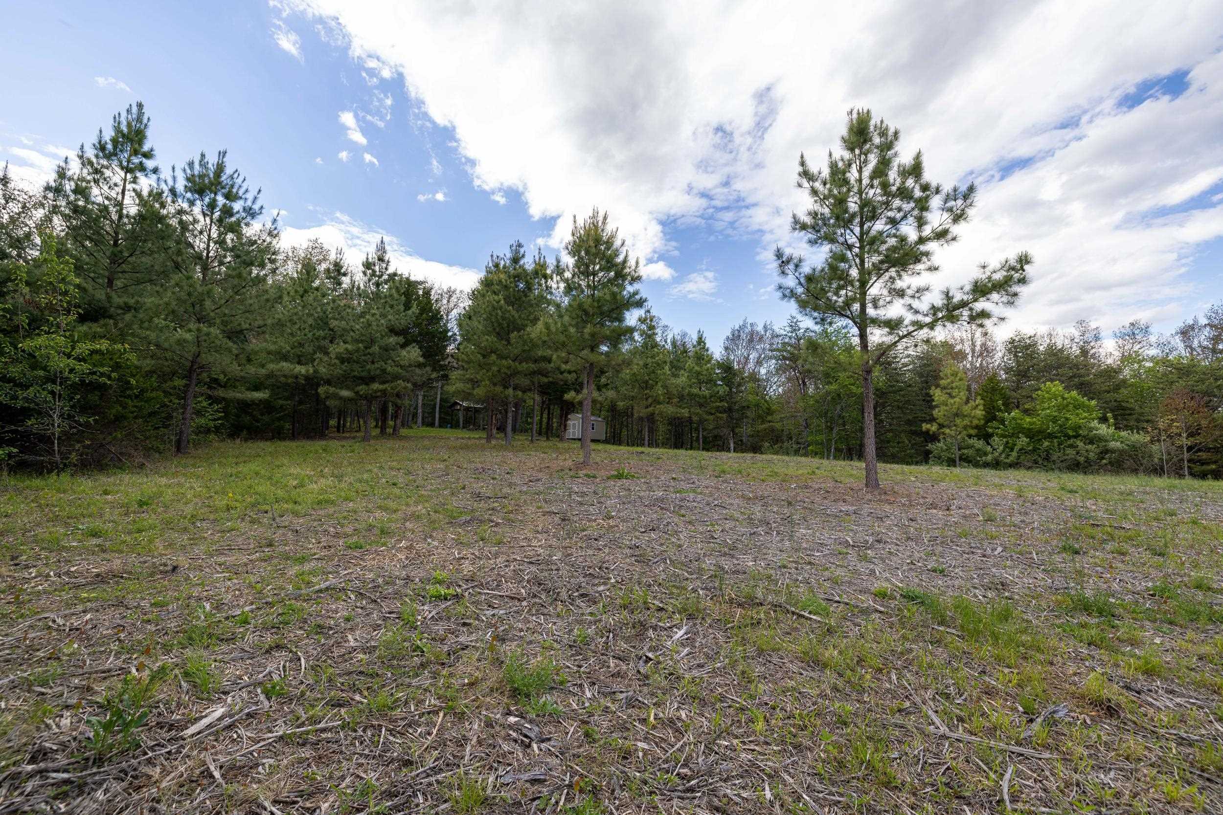 0 BOLIVER RD, FORT VALLEY, Virginia 22652, ,Land,0 BOLIVER RD,677110 MLS # 677110