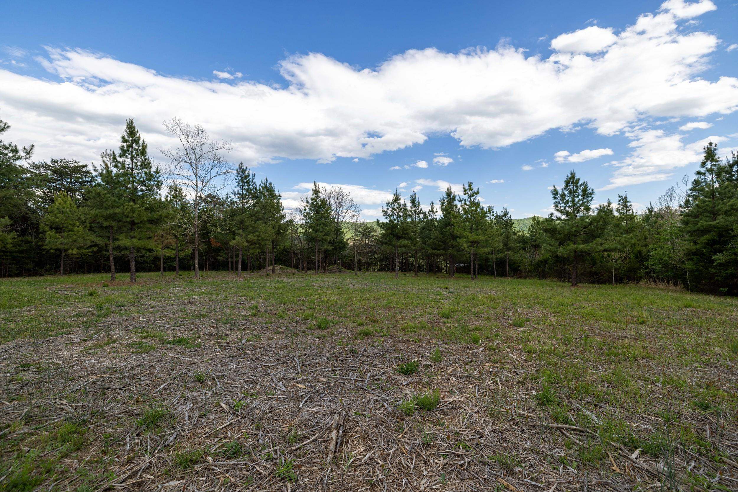 0 BOLIVER RD, FORT VALLEY, Virginia 22652, ,Land,0 BOLIVER RD,677110 MLS # 677110