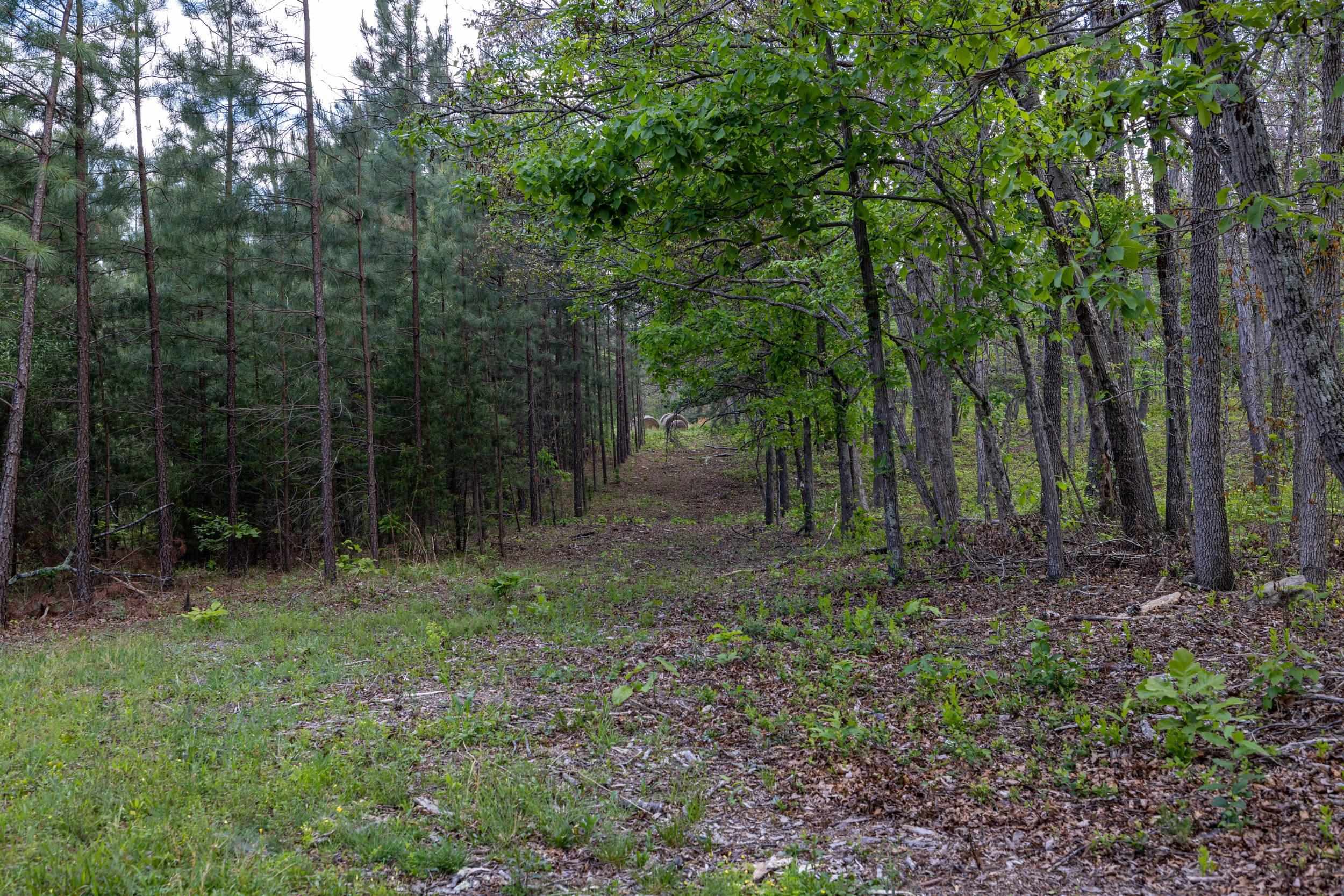 0 BOLIVER RD, FORT VALLEY, Virginia 22652, ,Land,0 BOLIVER RD,677110 MLS # 677110
