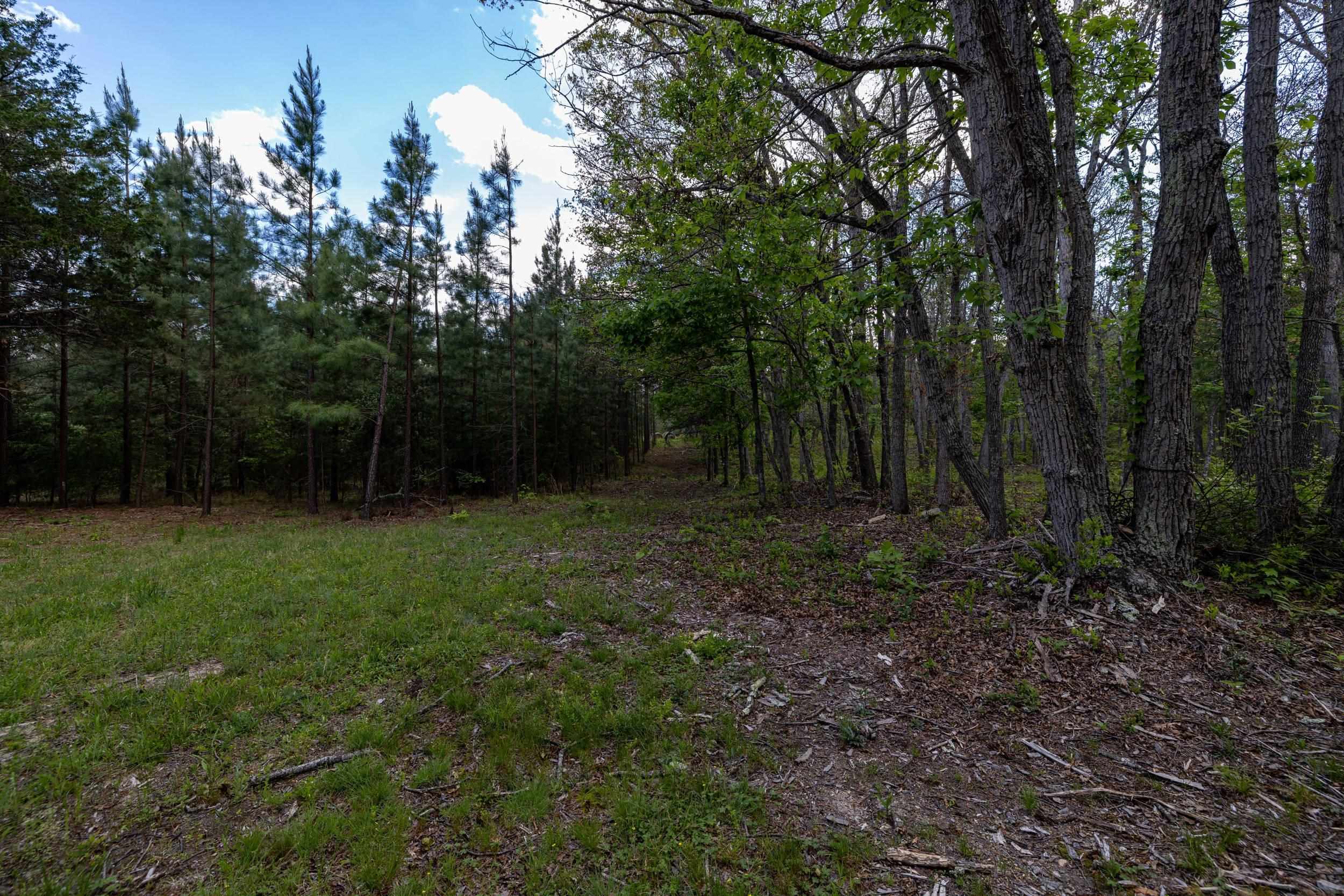 0 BOLIVER RD, FORT VALLEY, Virginia 22652, ,Land,0 BOLIVER RD,677110 MLS # 677110
