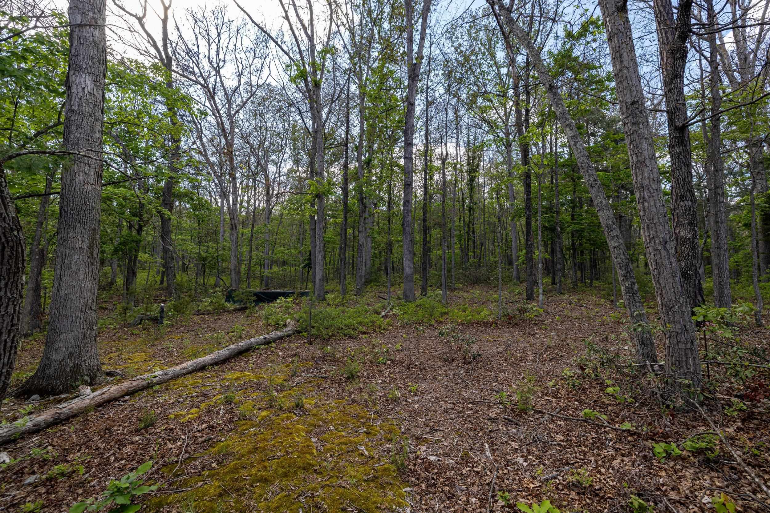0 BOLIVER RD, FORT VALLEY, Virginia 22652, ,Land,0 BOLIVER RD,677110 MLS # 677110