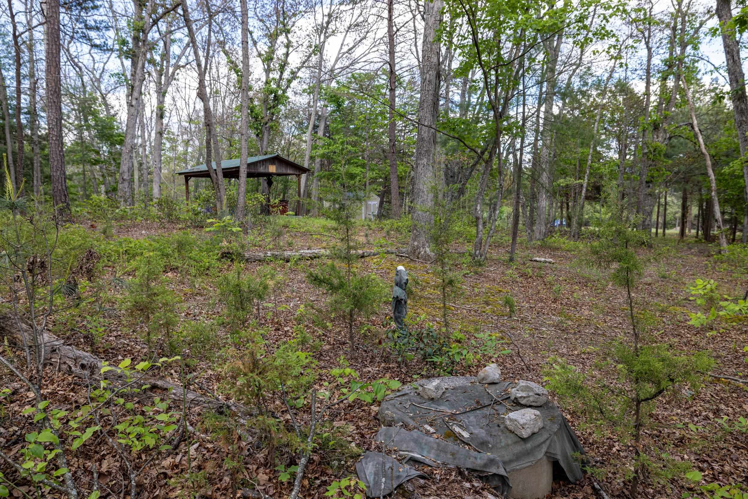 0 BOLIVER RD, FORT VALLEY, Virginia 22652, ,Land,0 BOLIVER RD,677110 MLS # 677110