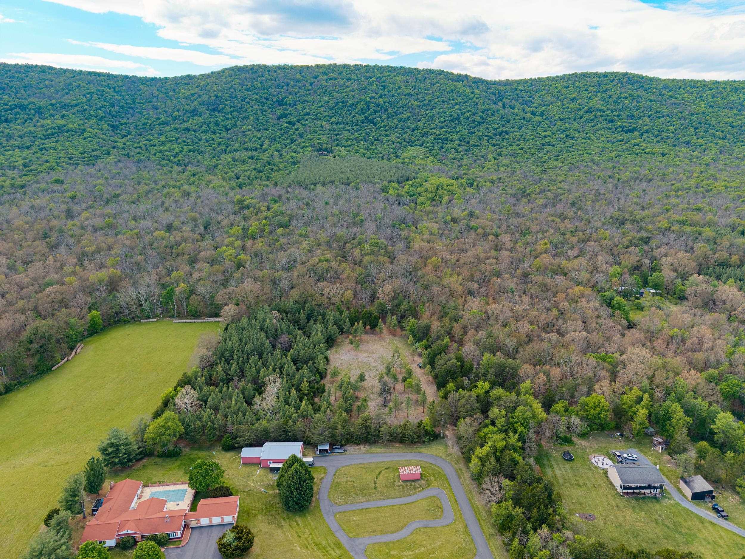0 BOLIVER RD, FORT VALLEY, Virginia 22652, ,Land,0 BOLIVER RD,677110 MLS # 677110