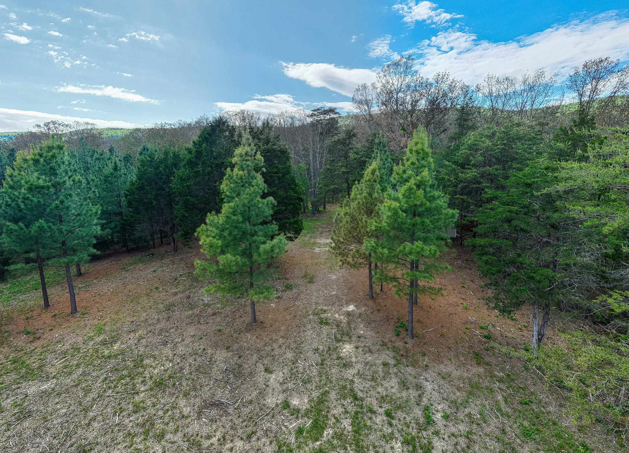0 BOLIVER RD, FORT VALLEY, Virginia 22652, ,Land,0 BOLIVER RD,677110 MLS # 677110