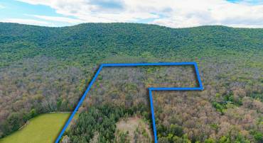 0 BOLIVER RD, FORT VALLEY, Virginia 22652, ,Land,0 BOLIVER RD,677110 MLS # 677110