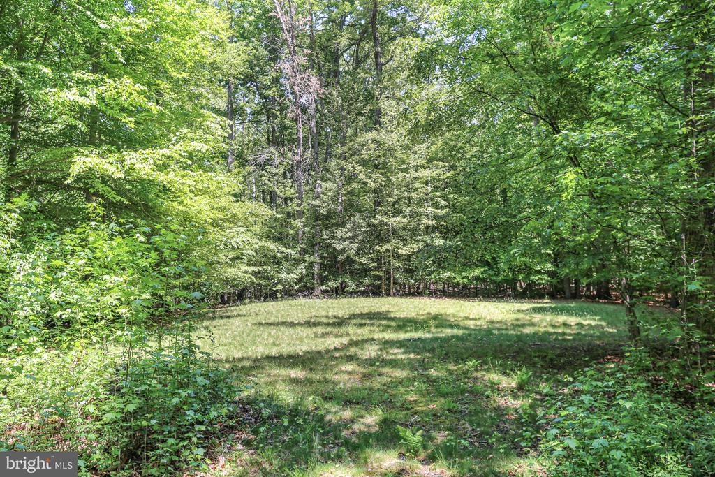 9009 SNOWY EGRET CT, SPOTSYLVANIA, Virginia 22553, 5 Bedrooms Bedrooms, ,3 BathroomsBathrooms,Residential,9009 SNOWY EGRET CT,VASP2041772 MLS # VASP2041772