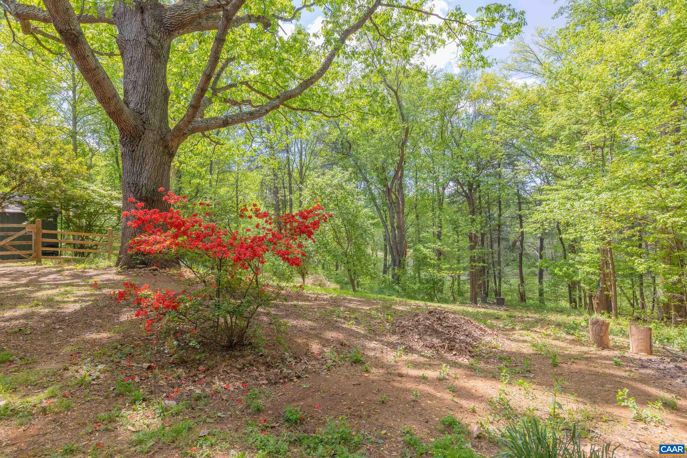 826 BEAGLE GAP RD, CROZET, Virginia 22932, 3 Bedrooms Bedrooms, ,1 BathroomBathrooms,Residential,826 BEAGLE GAP RD,677019 MLS # 677019