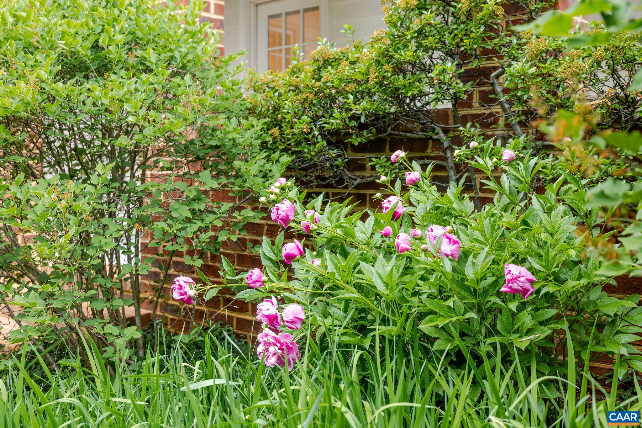 555 DRYDEN PL, CHARLOTTESVILLE, Virginia 22903, 4 Bedrooms Bedrooms, ,3 BathroomsBathrooms,Residential,555 DRYDEN PL,677043 MLS # 677043 555 DRYDEN PL, CHARLOTTESVILLE, Virginia 22903, 4 Bedrooms Bedrooms, ,3 BathroomsBathrooms,Residential,555 DRYDEN PL,677043 MLS # 677043