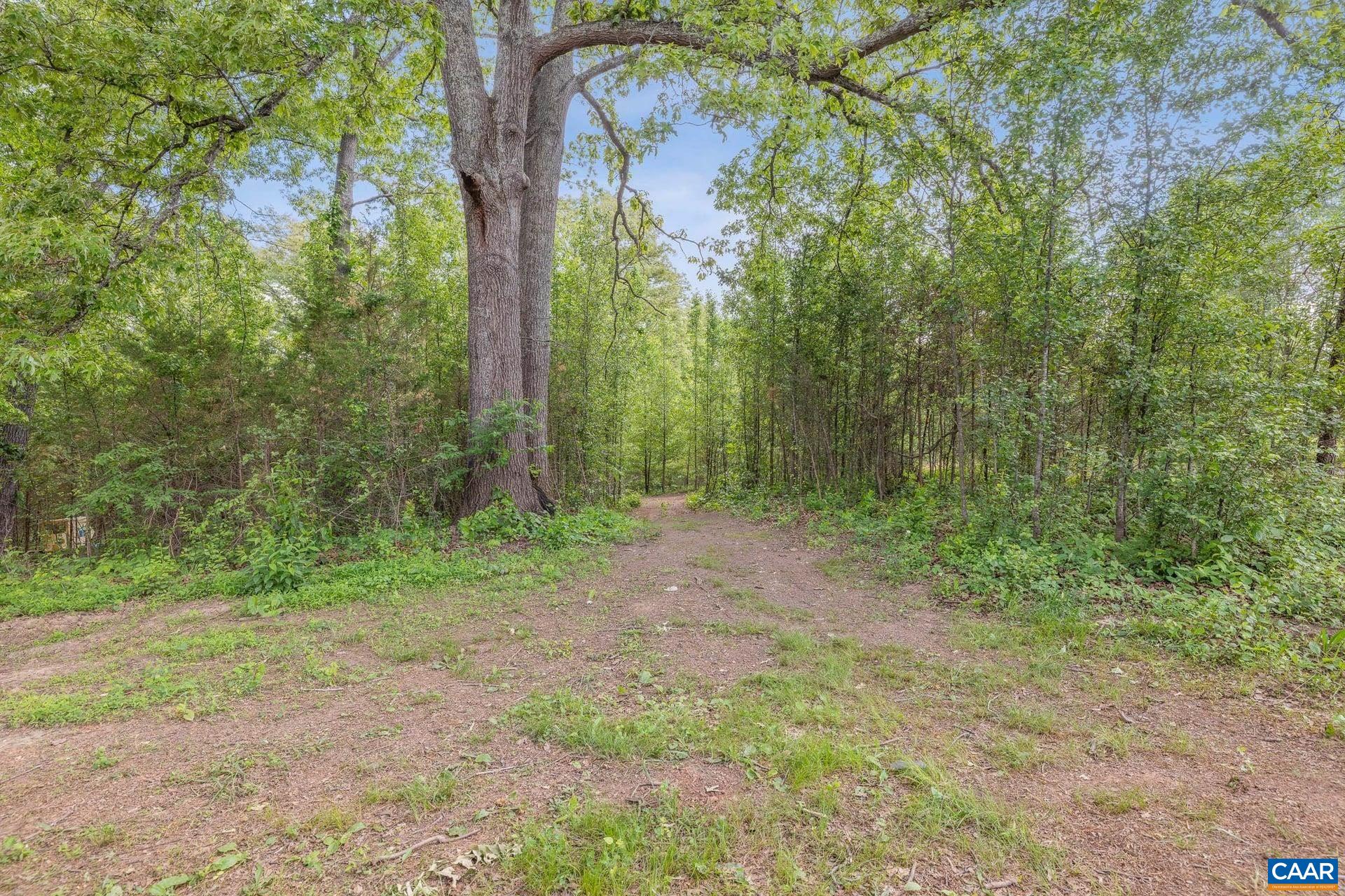 1202 MATTHEW MILL RD, RUCKERSVILLE, Virginia 22968, 4 Bedrooms Bedrooms, ,2 BathroomsBathrooms,Residential,1202 MATTHEW MILL RD,677107 MLS # 677107
