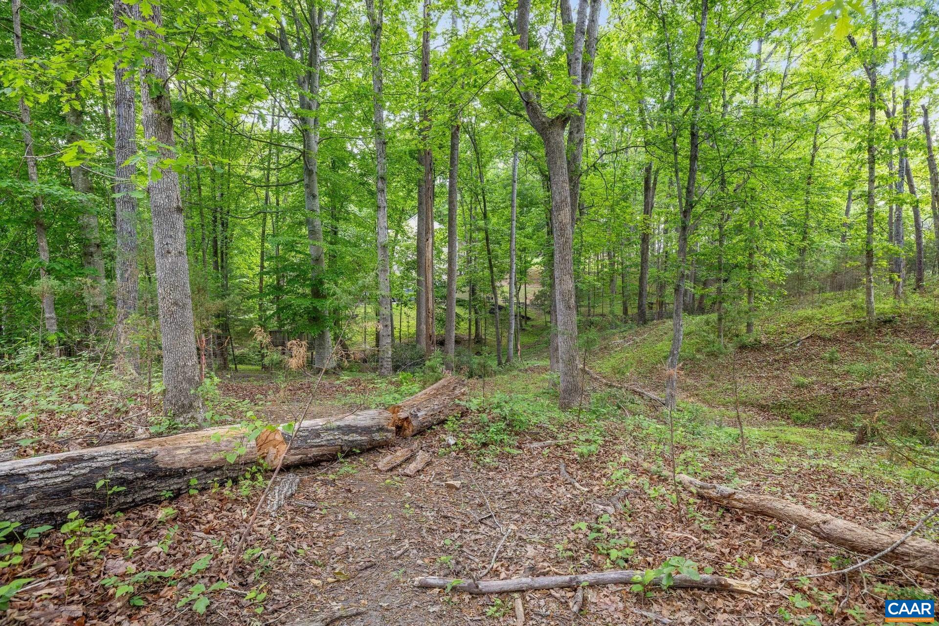 1202 MATTHEW MILL RD, RUCKERSVILLE, Virginia 22968, 4 Bedrooms Bedrooms, ,2 BathroomsBathrooms,Residential,1202 MATTHEW MILL RD,677107 MLS # 677107