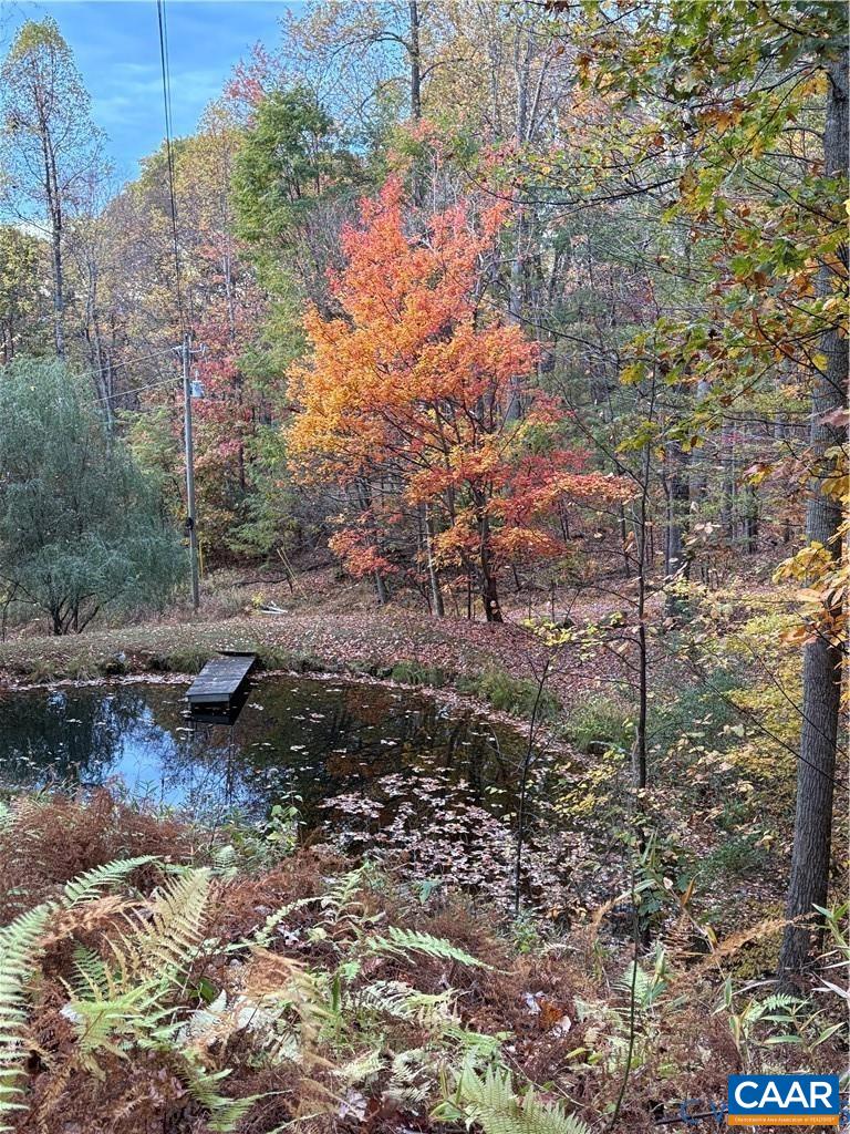 270 LITTLE CABIN RD, AMHERST, Virginia 24521, 2 Bedrooms Bedrooms, ,1 BathroomBathrooms,Residential,270 LITTLE CABIN RD,677120 MLS # 677120