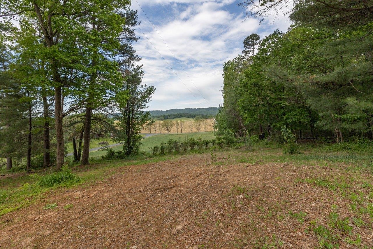 547 GRINDSTONE RD, BRIDGEWATER, Virginia 22812, 3 Bedrooms Bedrooms, ,1 BathroomBathrooms,Residential,547 GRINDSTONE RD,677121 MLS # 677121