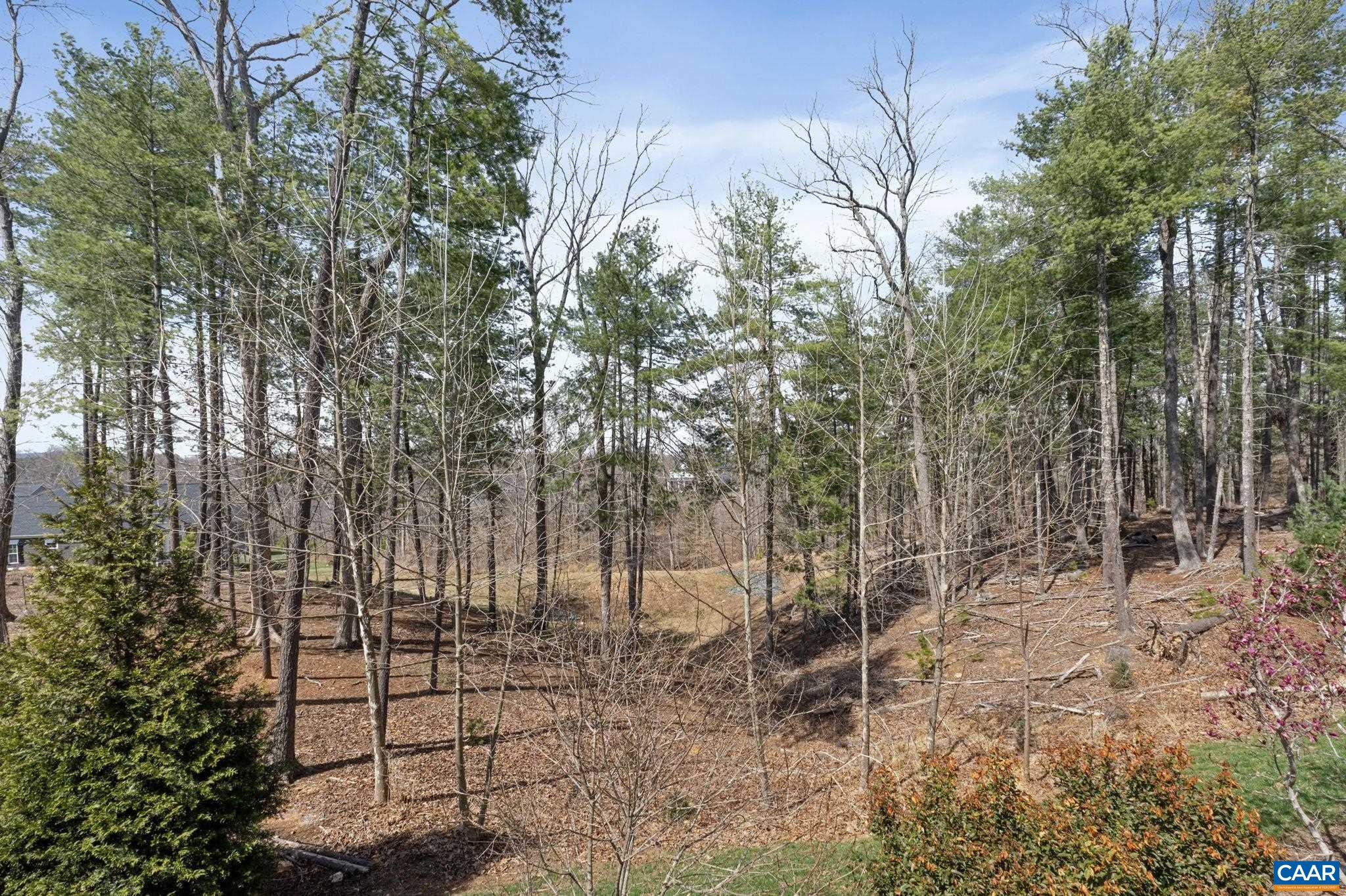 542 DRUMIN RD, KESWICK, Virginia 22947, 3 Bedrooms Bedrooms, ,3 BathroomsBathrooms,Residential,542 DRUMIN RD,677122 MLS # 677122