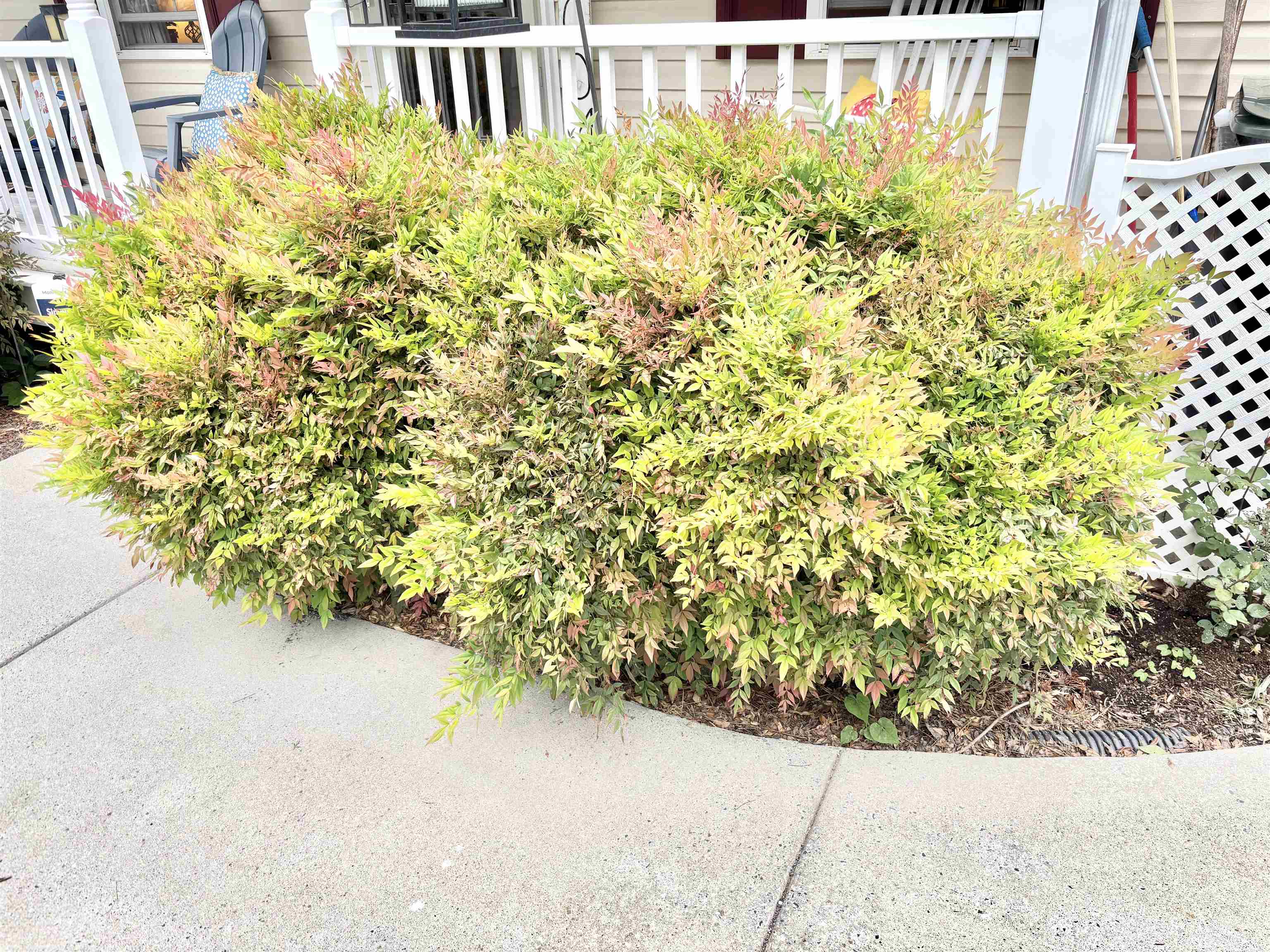 341A CAMPBELL ST, STAUNTON, Virginia 24401, 3 Bedrooms Bedrooms, ,2 BathroomsBathrooms,Residential,Long,341A CAMPBELL ST,677123 MLS # 677123