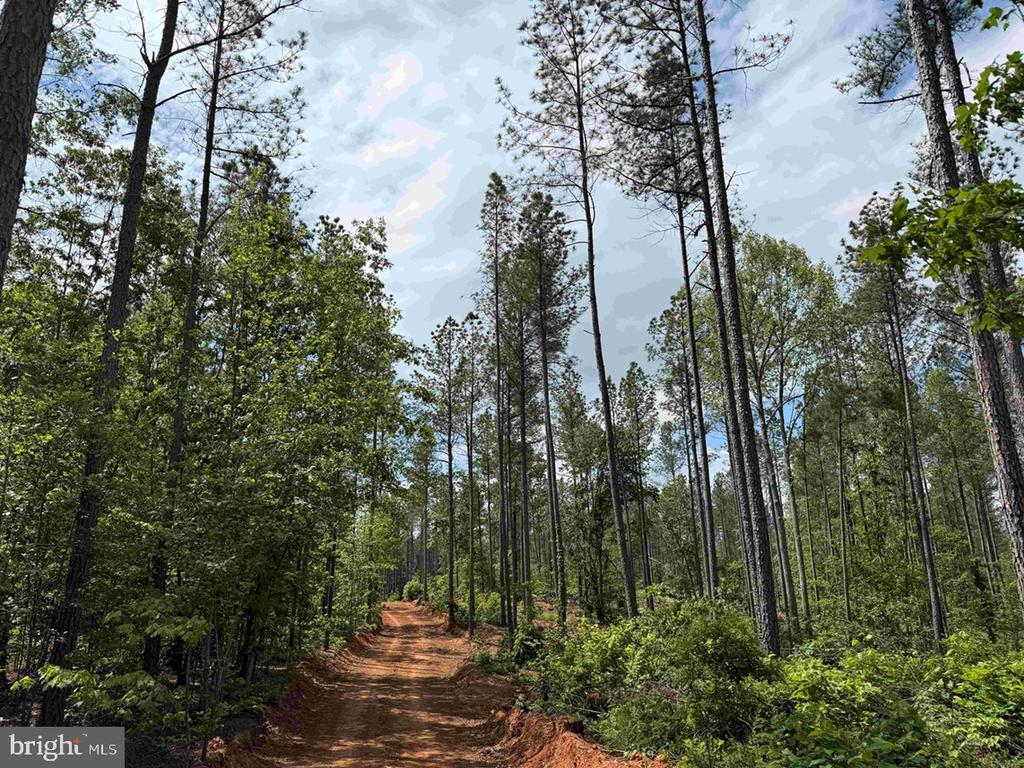 WEST RIVER ROAD (TRACT: JR SADIE FLANAGAN-1), FORK UNION, Virginia 23055, ,Farm,WEST RIVER ROAD (TRACT: JR SADIE FLANAGAN-1),VAFN2000686 MLS # VAFN2000686 WEST RIVER ROAD (TRACT: JR SADIE FLANAGAN-1), FORK UNION, Virginia 23055, ,Farm,WEST RIVER ROAD (TRACT: JR SADIE FLANAGAN-1),VAFN2000686 MLS # VAFN2000686