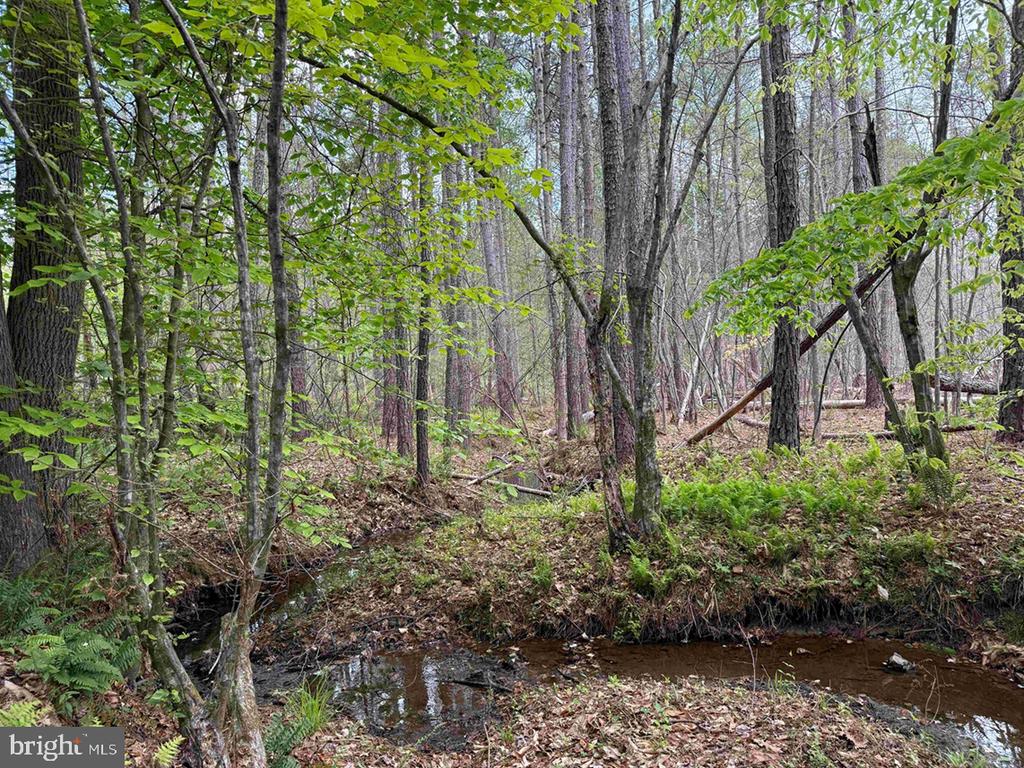 WEST RIVER ROAD (TRACT: JR SADIE FLANAGAN-1), FORK UNION, Virginia 23055, ,Farm,WEST RIVER ROAD (TRACT: JR SADIE FLANAGAN-1),VAFN2000686 MLS # VAFN2000686 WEST RIVER ROAD (TRACT: JR SADIE FLANAGAN-1), FORK UNION, Virginia 23055, ,Farm,WEST RIVER ROAD (TRACT: JR SADIE FLANAGAN-1),VAFN2000686 MLS # VAFN2000686