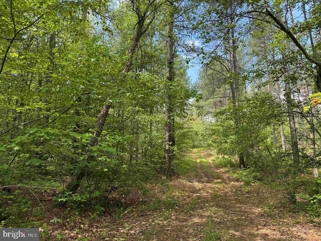 WEST RIVER ROAD (TRACT: JR SADIE FLANAGAN-1), FORK UNION, Virginia 23055, ,Farm,WEST RIVER ROAD (TRACT: JR SADIE FLANAGAN-1),VAFN2000686 MLS # VAFN2000686 WEST RIVER ROAD (TRACT: JR SADIE FLANAGAN-1), FORK UNION, Virginia 23055, ,Farm,WEST RIVER ROAD (TRACT: JR SADIE FLANAGAN-1),VAFN2000686 MLS # VAFN2000686