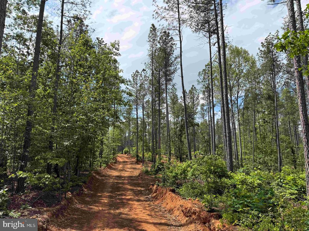 WEST RIVER ROAD (TRACT: JR SADIE FLANAGAN-2), FORK UNION, Virginia 23055, ,Farm,WEST RIVER ROAD (TRACT: JR SADIE FLANAGAN-2),VAFN2000688 MLS # VAFN2000688 WEST RIVER ROAD (TRACT: JR SADIE FLANAGAN-2), FORK UNION, Virginia 23055, ,Farm,WEST RIVER ROAD (TRACT: JR SADIE FLANAGAN-2),VAFN2000688 MLS # VAFN2000688