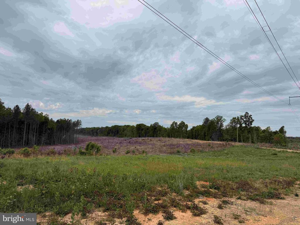 WEST RIVER ROAD (TRACT: JR SADIE FLANAGAN-2), FORK UNION, Virginia 23055, ,Farm,WEST RIVER ROAD (TRACT: JR SADIE FLANAGAN-2),VAFN2000688 MLS # VAFN2000688 WEST RIVER ROAD (TRACT: JR SADIE FLANAGAN-2), FORK UNION, Virginia 23055, ,Farm,WEST RIVER ROAD (TRACT: JR SADIE FLANAGAN-2),VAFN2000688 MLS # VAFN2000688