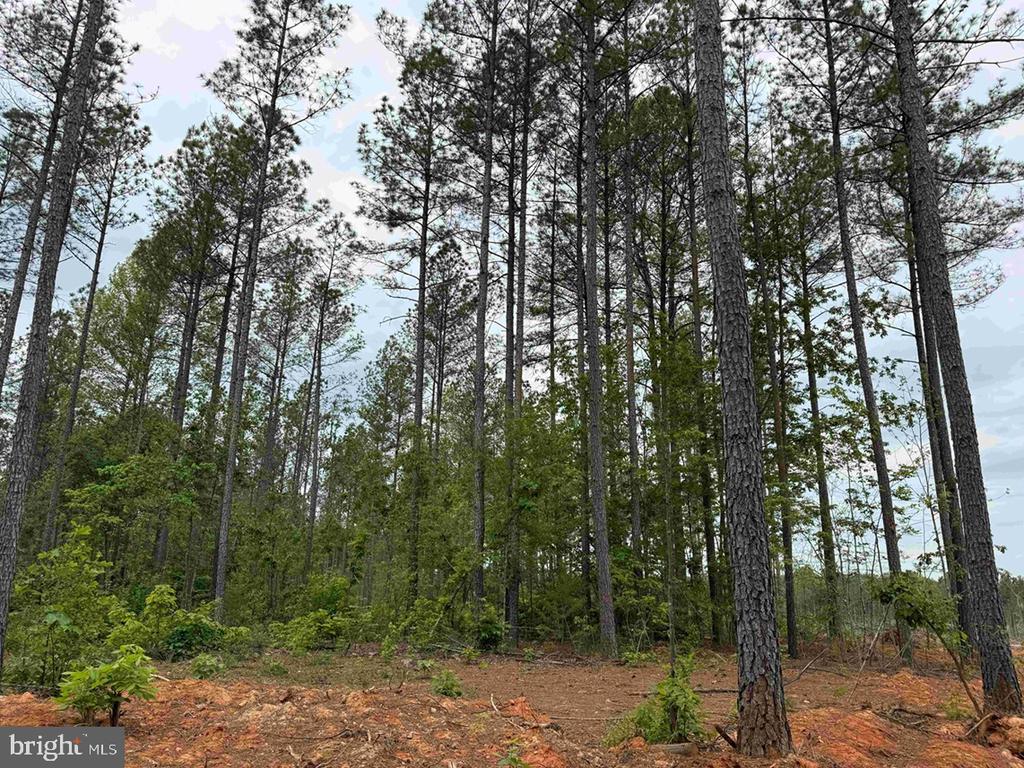 WEST RIVER ROAD (TRACT: JR SADIE FLANAGAN-2), FORK UNION, Virginia 23055, ,Farm,WEST RIVER ROAD (TRACT: JR SADIE FLANAGAN-2),VAFN2000688 MLS # VAFN2000688 WEST RIVER ROAD (TRACT: JR SADIE FLANAGAN-2), FORK UNION, Virginia 23055, ,Farm,WEST RIVER ROAD (TRACT: JR SADIE FLANAGAN-2),VAFN2000688 MLS # VAFN2000688