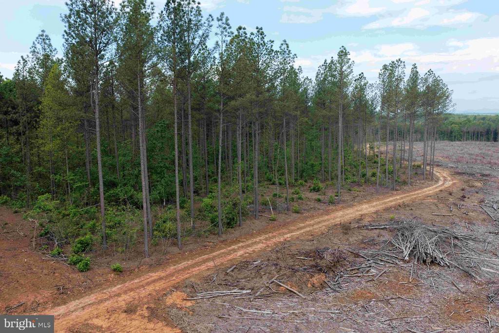 WEST RIVER ROAD (TRACT: JR SADIE FLANAGAN-2), FORK UNION, Virginia 23055, ,Farm,WEST RIVER ROAD (TRACT: JR SADIE FLANAGAN-2),VAFN2000688 MLS # VAFN2000688 WEST RIVER ROAD (TRACT: JR SADIE FLANAGAN-2), FORK UNION, Virginia 23055, ,Farm,WEST RIVER ROAD (TRACT: JR SADIE FLANAGAN-2),VAFN2000688 MLS # VAFN2000688