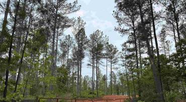 WEST RIVER ROAD (TRACT: JR SADIE FLANAGAN-2), FORK UNION, Virginia 23055, ,Farm,WEST RIVER ROAD (TRACT: JR SADIE FLANAGAN-2),VAFN2000688 MLS # VAFN2000688
