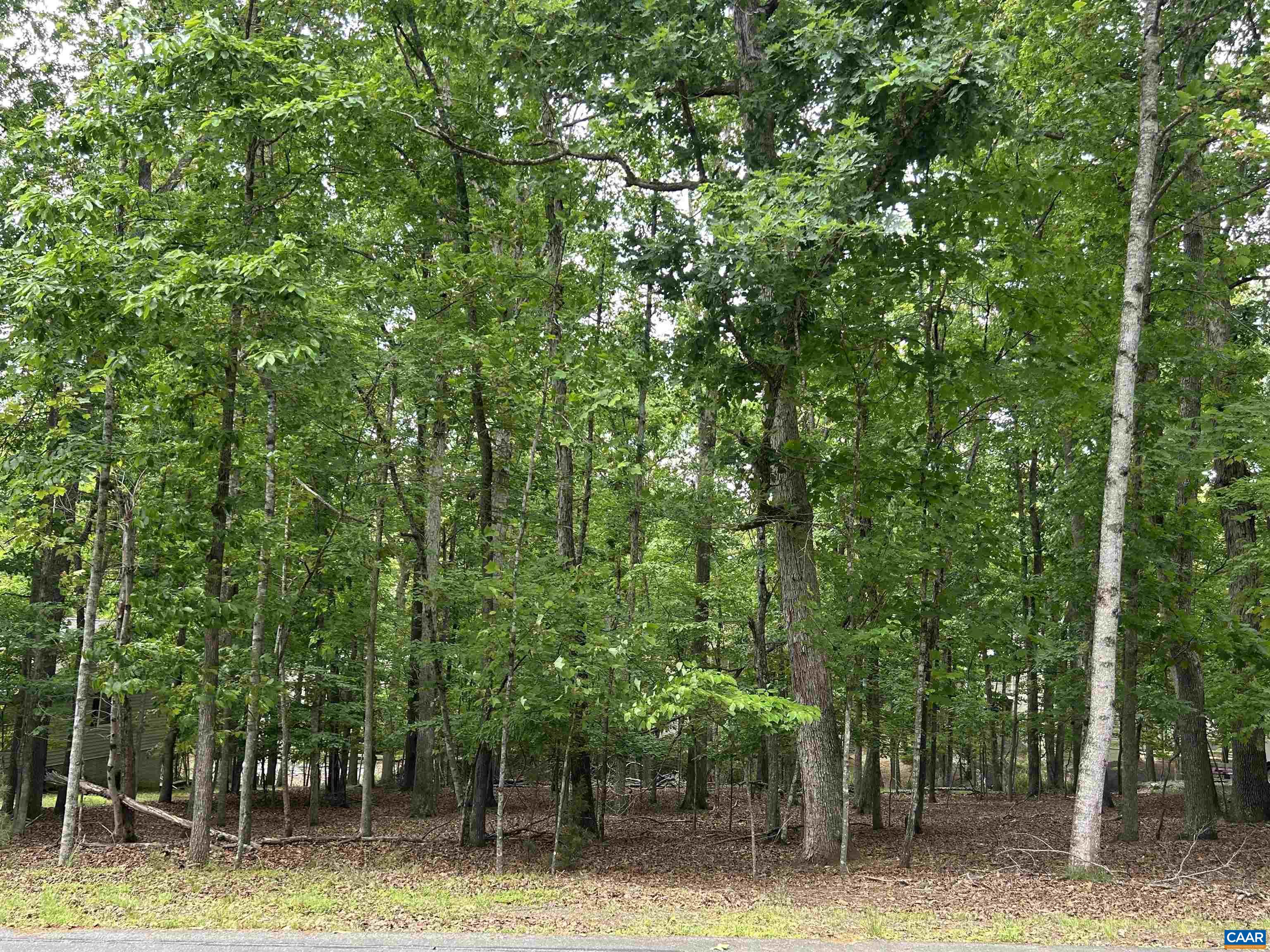 25 LAGUNA RD, PALMYRA, Virginia 22963, ,Land,25 LAGUNA RD,677154 MLS # 677154