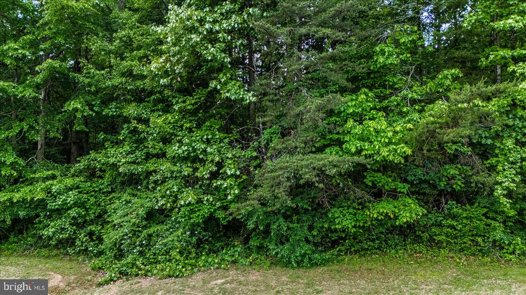 9007 JUDICIARY DR, SPOTSYLVANIA, Virginia 22553, 4 Bedrooms Bedrooms, ,2 BathroomsBathrooms,Residential,9007 JUDICIARY DR,VASP2041464 MLS # VASP2041464