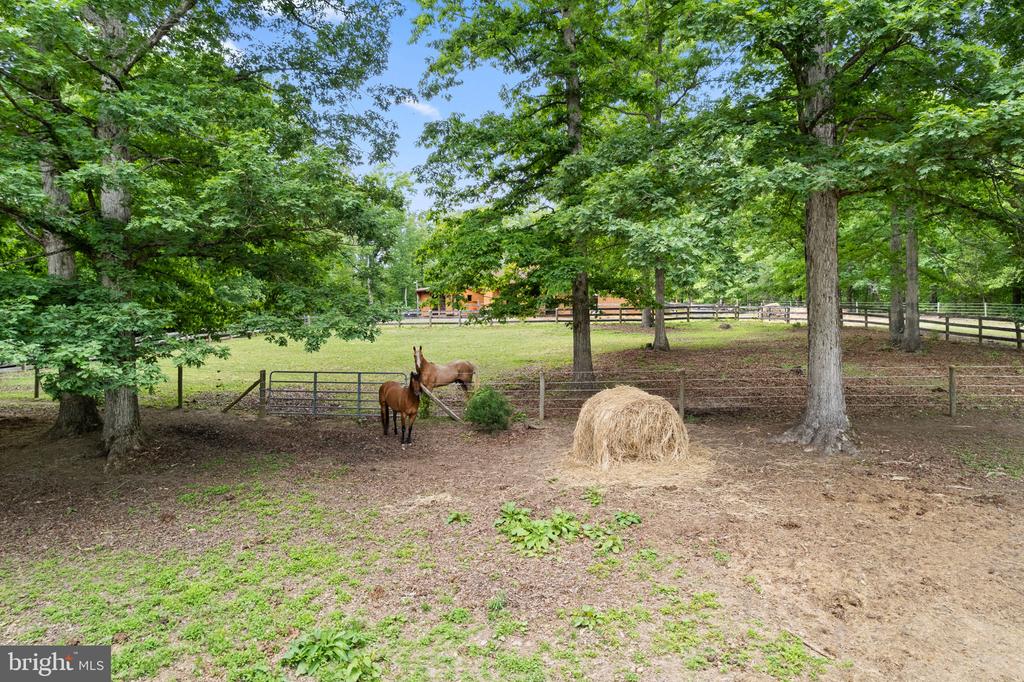 5099 COURTNEYS CORNER RD, SUMERDUCK, Virginia 22742, 4 Bedrooms Bedrooms, ,3 BathroomsBathrooms,Residential,5099 COURTNEYS CORNER RD,VAFQ2021898 MLS # VAFQ2021898