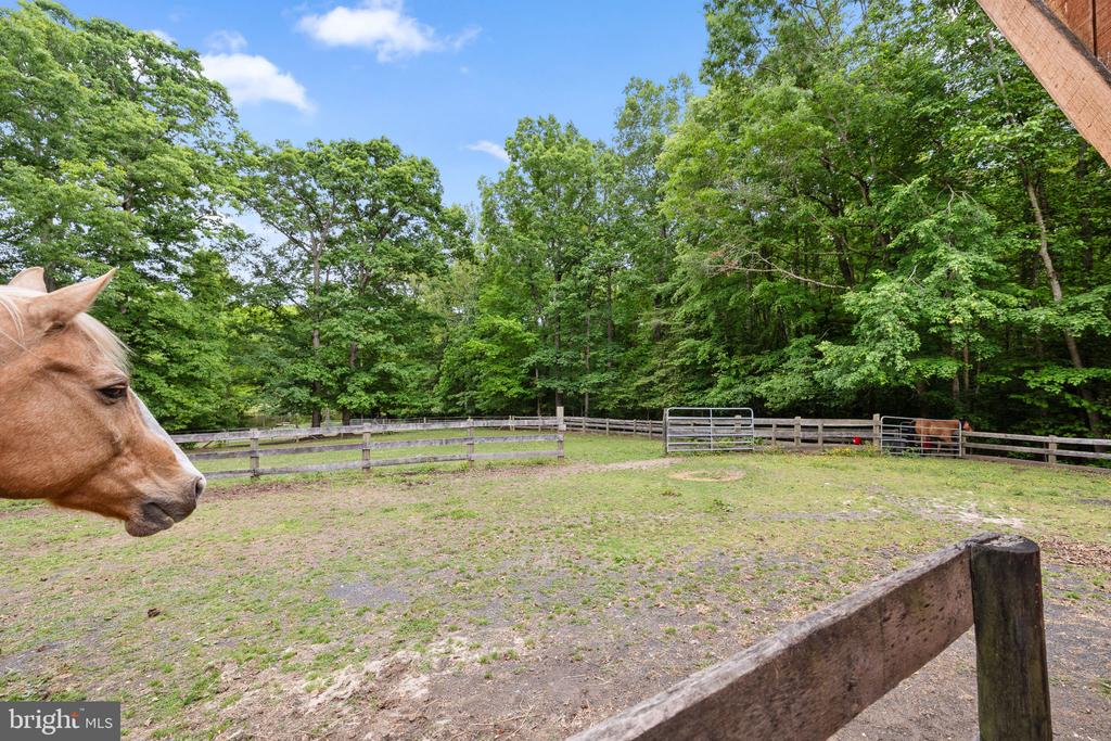 5099 COURTNEYS CORNER RD, SUMERDUCK, Virginia 22742, 4 Bedrooms Bedrooms, ,3 BathroomsBathrooms,Residential,5099 COURTNEYS CORNER RD,VAFQ2021898 MLS # VAFQ2021898