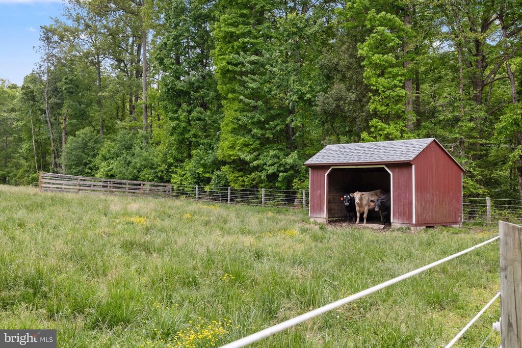 5099 COURTNEYS CORNER RD, SUMERDUCK, Virginia 22742, 4 Bedrooms Bedrooms, ,3 BathroomsBathrooms,Residential,5099 COURTNEYS CORNER RD,VAFQ2021898 MLS # VAFQ2021898