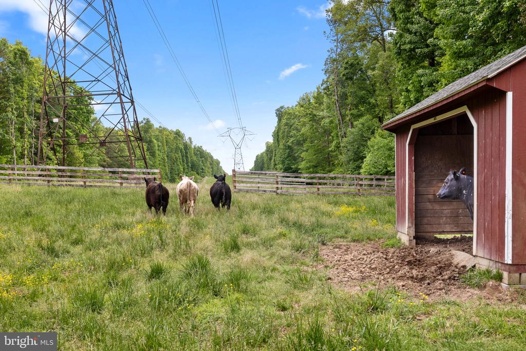 5099 COURTNEYS CORNER RD, SUMERDUCK, Virginia 22742, 4 Bedrooms Bedrooms, ,3 BathroomsBathrooms,Residential,5099 COURTNEYS CORNER RD,VAFQ2021898 MLS # VAFQ2021898