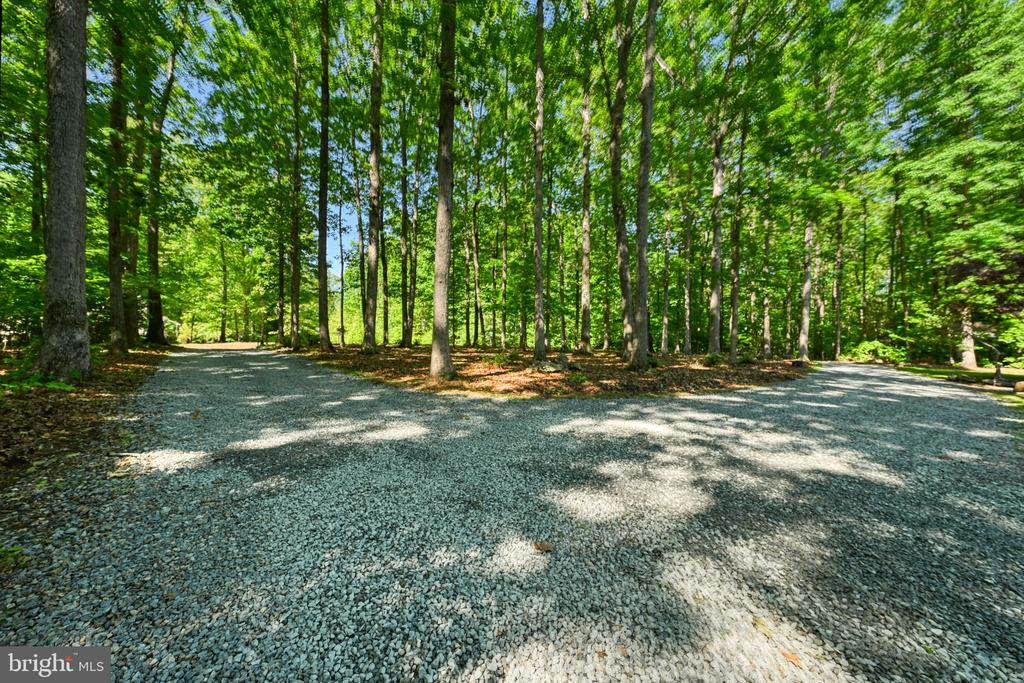12008 SYCAMORE SHOALS DR, BUMPASS, Virginia 23024, 3 Bedrooms Bedrooms, ,3 BathroomsBathrooms,Residential,12008 SYCAMORE SHOALS DR,VASP2041650 MLS # VASP2041650