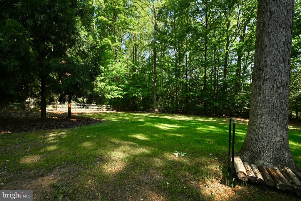 12008 SYCAMORE SHOALS DR, BUMPASS, Virginia 23024, 3 Bedrooms Bedrooms, ,3 BathroomsBathrooms,Residential,12008 SYCAMORE SHOALS DR,VASP2041650 MLS # VASP2041650