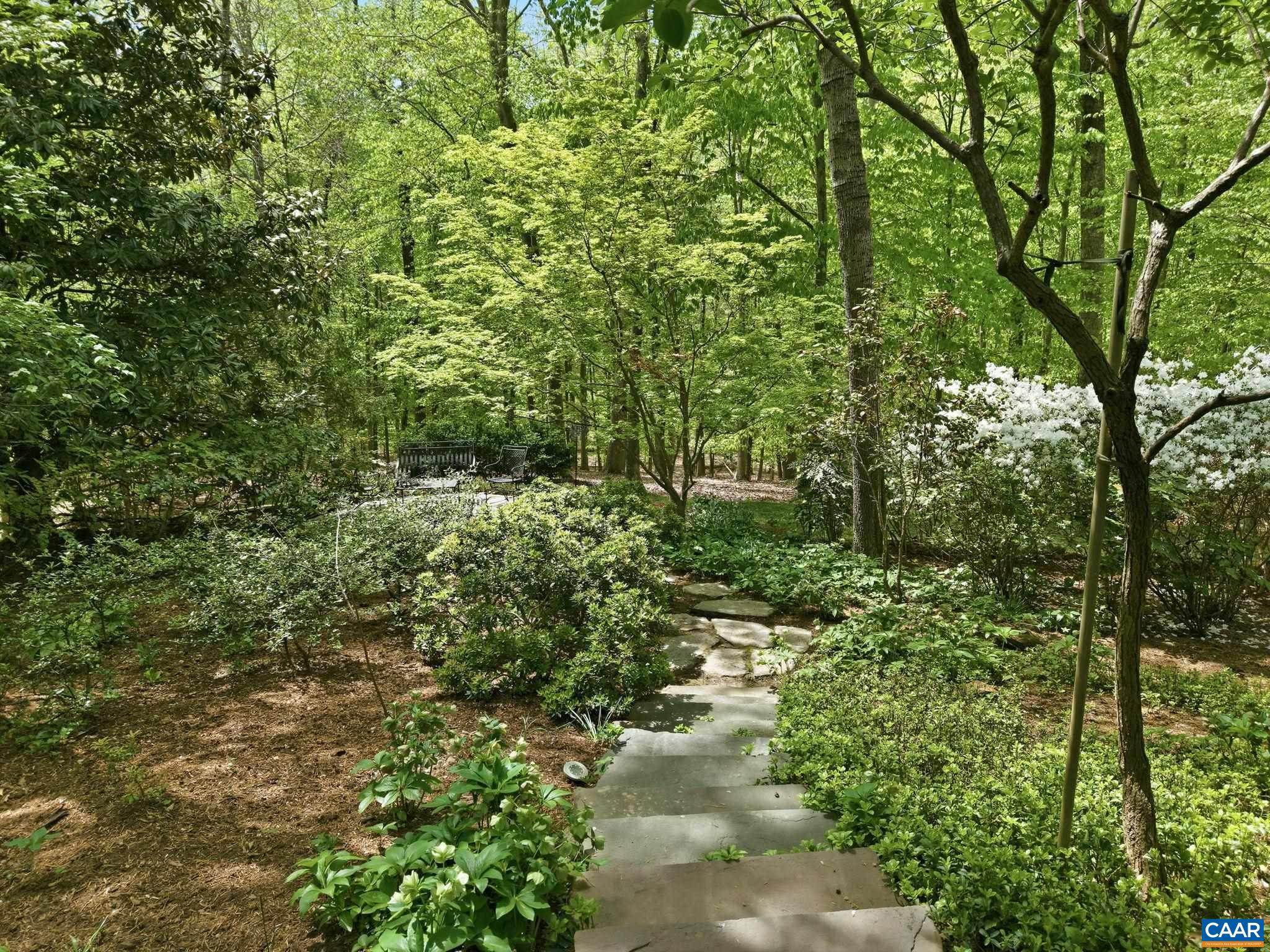1260 RIVER CHASE LN, CHARLOTTESVILLE, Virginia 22901, 4 Bedrooms Bedrooms, ,2 BathroomsBathrooms,Residential,1260 RIVER CHASE LN,676960 MLS # 676960
