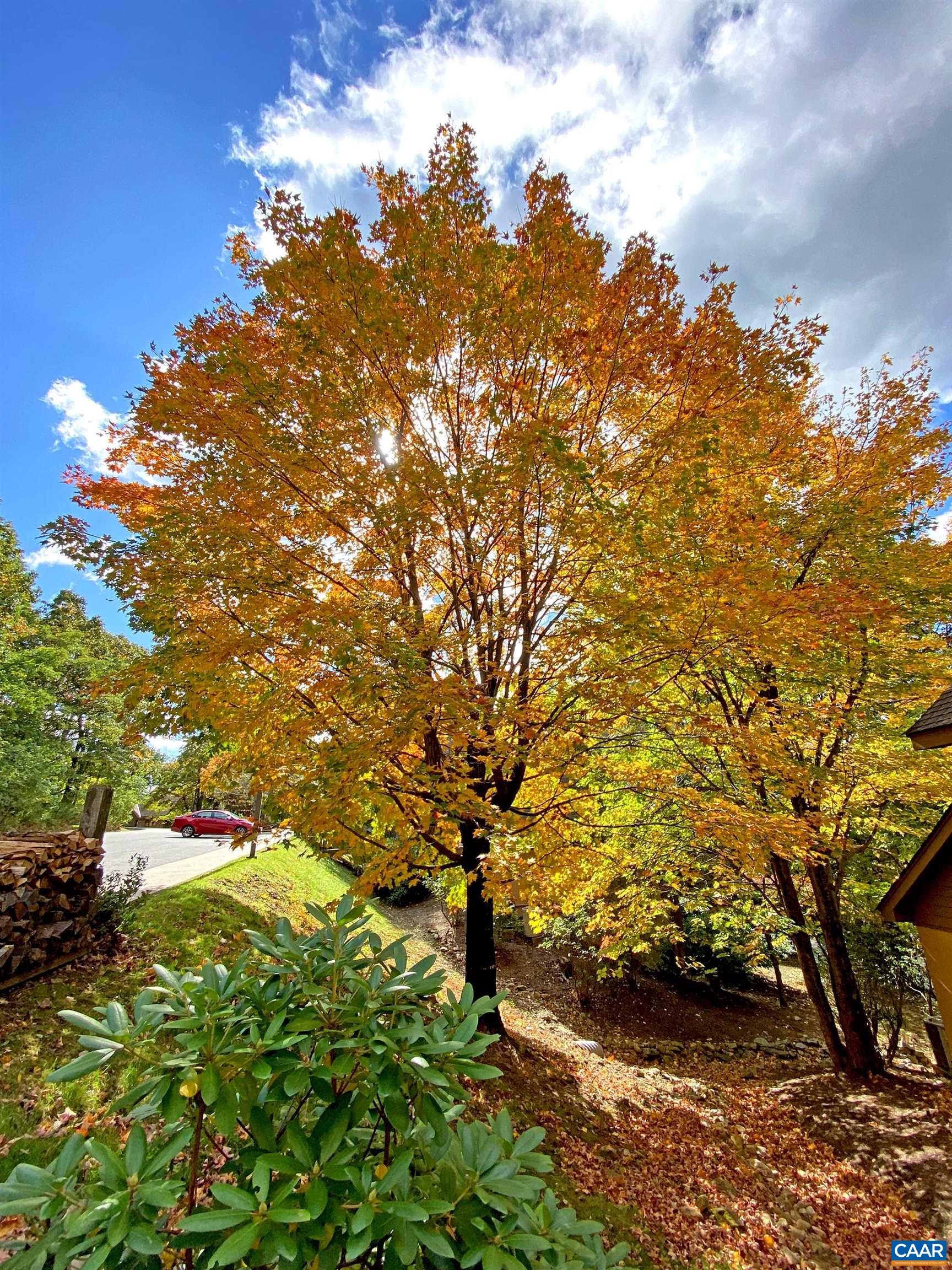 777 LAURELWOOD CONDOS, WINTERGREEN RESORT, Virginia 22967, 2 Bedrooms Bedrooms, ,2 BathroomsBathrooms,Residential,777 LAURELWOOD CONDOS,677153 MLS # 677153