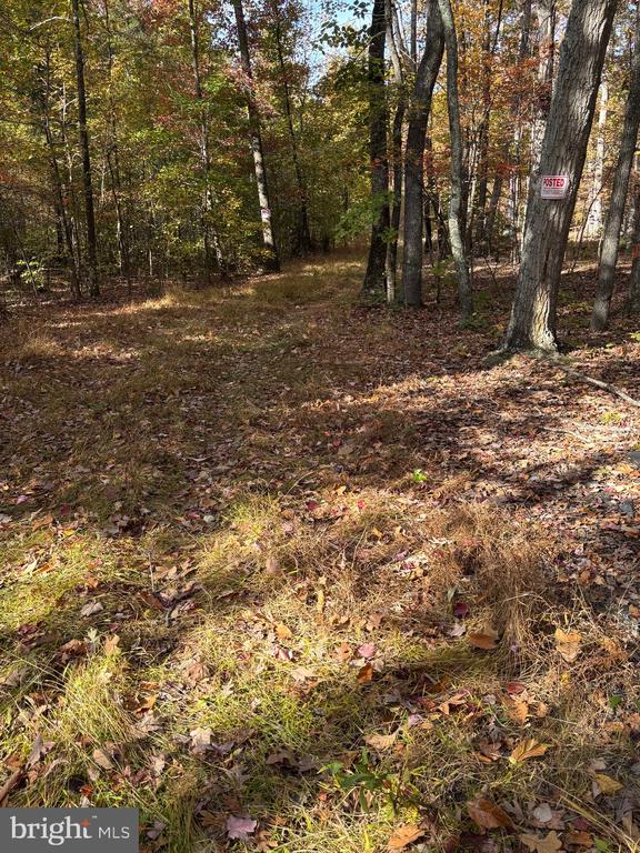 23 TAYLOR RD, LOUISA, Virginia 23093, ,Land,23 TAYLOR RD,VALA2009606 MLS # VALA2009606