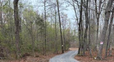 23 TAYLOR RD, LOUISA, Virginia 23093, ,Land,23 TAYLOR RD,VALA2009606 MLS # VALA2009606