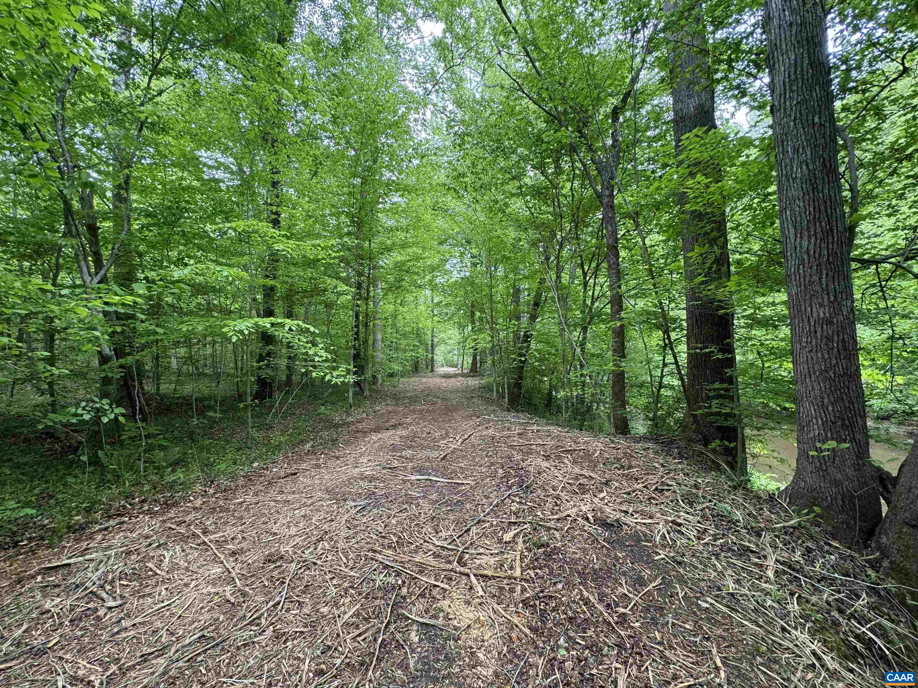 HOLLYWOOD RD, APPOMATTOX, Virginia 24522, ,Farm,HOLLYWOOD RD,677173 MLS # 677173