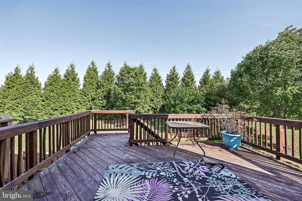 7217 WYTHEVILLE, FREDERICKSBURG, Virginia 22407, 3 Bedrooms Bedrooms, ,2 BathroomsBathrooms,Residential,SALEM FIELDS HOA,7217 WYTHEVILLE,VASP2041920 MLS # VASP2041920