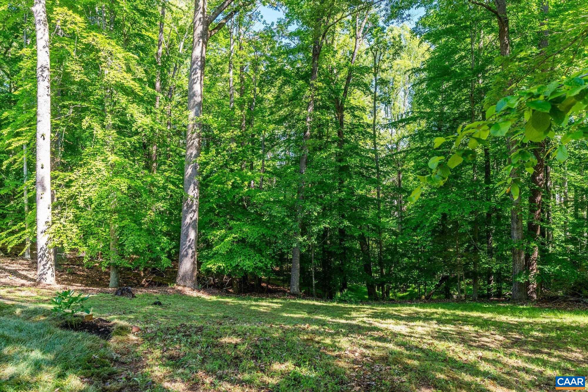 309 CRESTFIELD CT, CHARLOTTESVILLE, Virginia 22911, 3 Bedrooms Bedrooms, ,3 BathroomsBathrooms,Residential,309 CRESTFIELD CT,677147 MLS # 677147