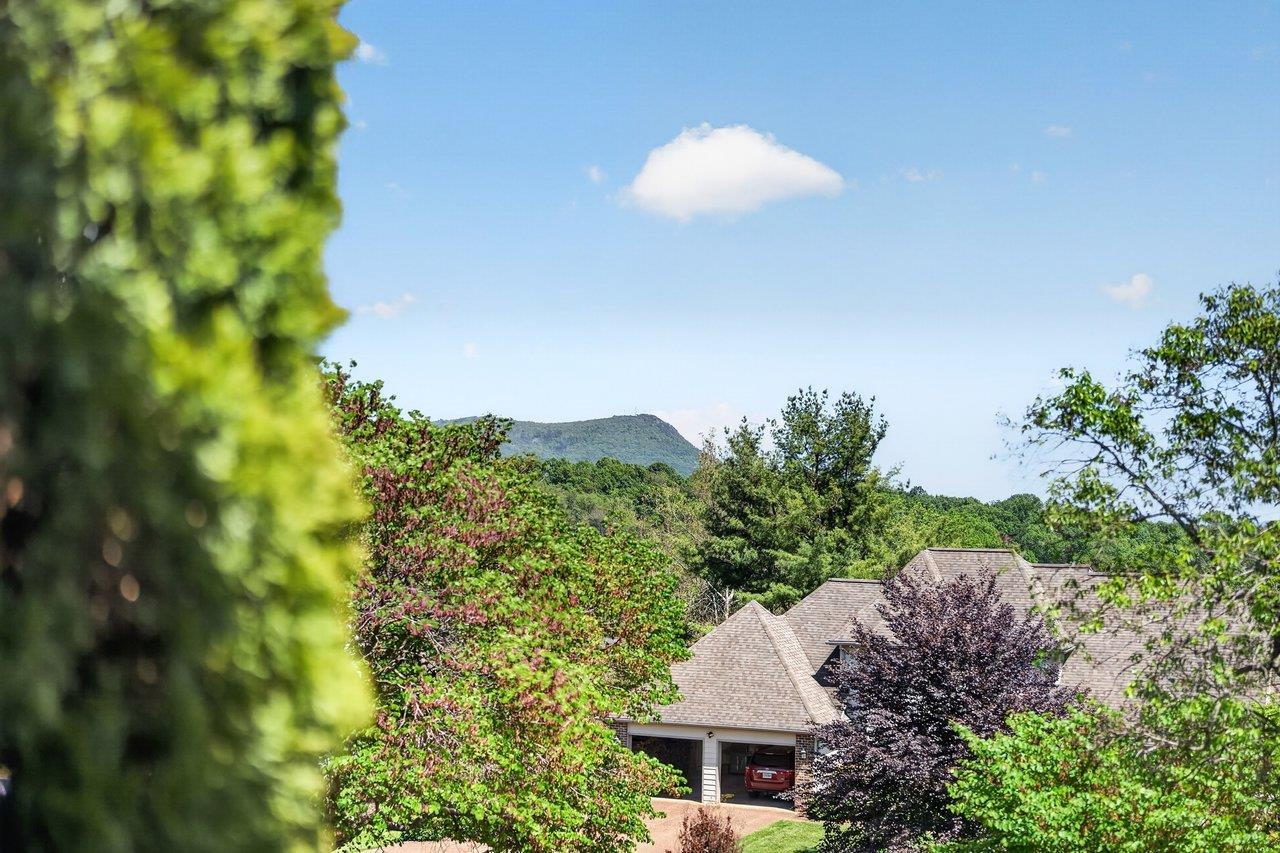 3090 ARROWHEAD RD, ROCKINGHAM, Virginia 22801, 3 Bedrooms Bedrooms, ,2 BathroomsBathrooms,Residential,3090 ARROWHEAD RD,677155 MLS # 677155