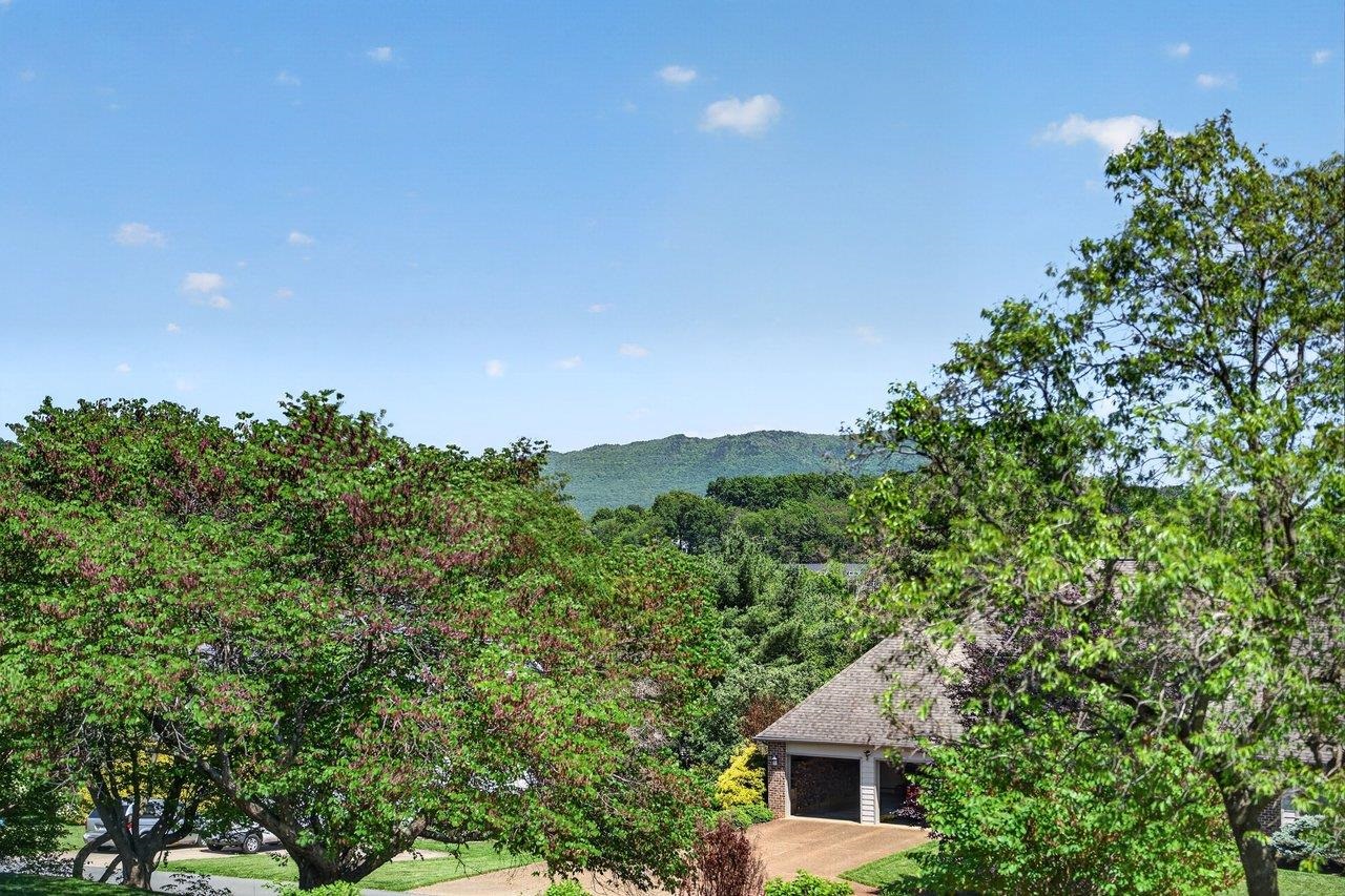 3090 ARROWHEAD RD, ROCKINGHAM, Virginia 22801, 3 Bedrooms Bedrooms, ,2 BathroomsBathrooms,Residential,3090 ARROWHEAD RD,677155 MLS # 677155
