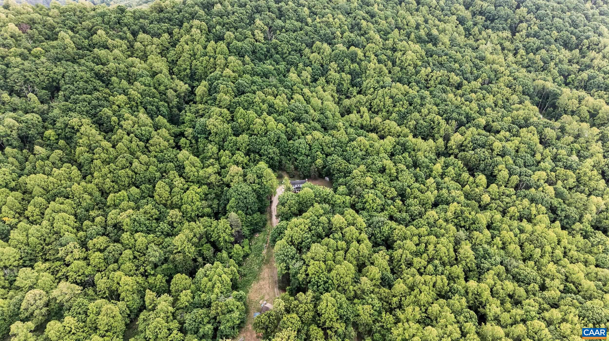 280 HIDDEN ACRES LN, AMHERST, Virginia 24521, 3 Bedrooms Bedrooms, ,3 BathroomsBathrooms,Residential,OFF RT 60 WEST OF AMHERST MOBLEY MOUNTAIN,280 HIDDEN ACRES LN,677161 MLS # 677161 280 HIDDEN ACRES LN, AMHERST, Virginia 24521, 3 Bedrooms Bedrooms, ,3 BathroomsBathrooms,Residential,OFF RT 60 WEST OF AMHERST MOBLEY MOUNTAIN,280 HIDDEN ACRES LN,677161 MLS # 677161
